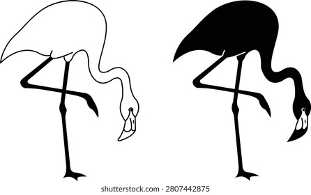 Flamingo bird icons in standing pose with black outline and solid silhouette styles. Minimalist exotic wildlife graphic isolated on white background. Vector illustration for tropical nature design.