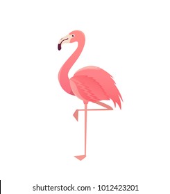 Flamingo bird illustration design on background