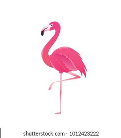 Flamant Rose Images Photos Et Images Vectorielles De Stock Shutterstock