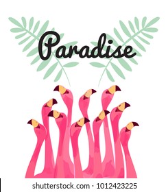 Flamingo bird illustration design on background