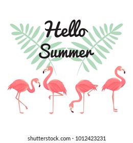 Flamingo bird illustration design on background