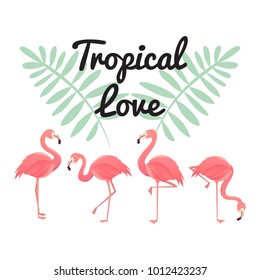 Flamingo bird illustration design on background