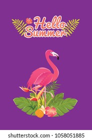 Flamingo bird illustration design on background