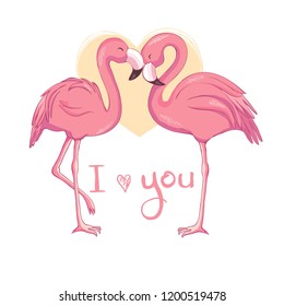 Flamingo bird illustration design on background