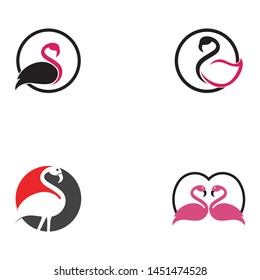 Flamingo bird illustration design on background