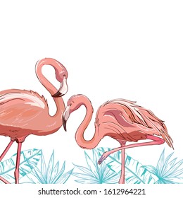 Flamingo bird illustration design on background