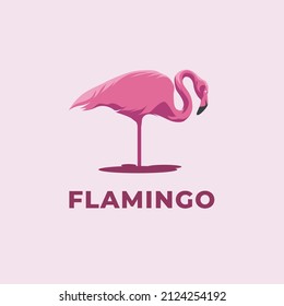 Flamingo bird illustration design on background