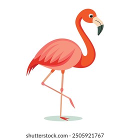 Flamingo bird illustration vector design