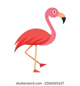 Flamingo Bird illustration vector eps file eps