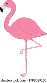 Flamingo bird illustration. Vector illustration isolated on white background.