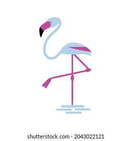 Flamingo bird isolated illustration vector isolated