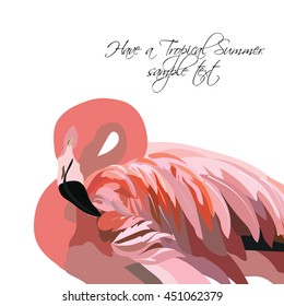Flamingo bird isolated on white background Vector. Summer tropic card