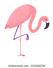 Flamingo bird, isolated tall animal, tropical and exotic fauna and biodiversity. Avian character with long neck and pink plumage feathers. Cute personage with sharp claws. Vector in flat style
