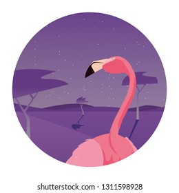flamingo bird in the landscape