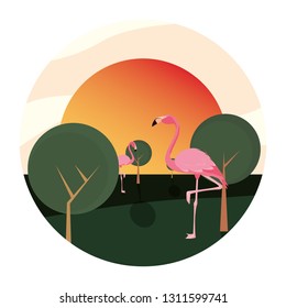 flamingo bird in the landscape