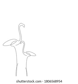 Flamingo bird line drawing, vector illustration