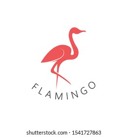 Flamingo bird  logo design concept template vector icon