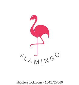 Flamingo bird  logo design concept template vector icon