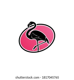 Vector de diseño de plantillas de logotipo para aves flamingo