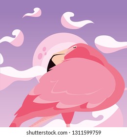 flamingo bird moon background