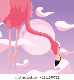 flamingo bird moon background