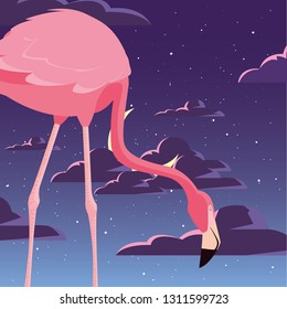 flamingo bird in the night - Shutterstock ID 1311599723