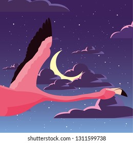 flamingo bird in the night