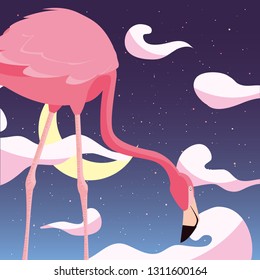 flamingo bird in the night - Shutterstock ID 1311600164