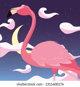 flamingo bird in the night