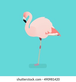 Flamingo bird on a branch. Isolated vector illustration of a flat