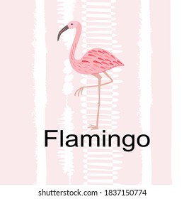 Flamingo bird on pestle color background.