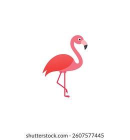 flamingo bird on white background