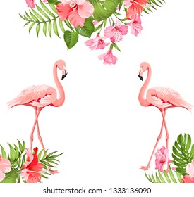 Flamingo bird and plumeria flowers isolated over white background. Tropical birds and flowers illustration. Fashion summer print for invitation card and your template design. Vector illustration