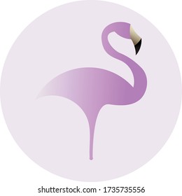flamingo bird rose logo icon