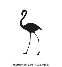 Flamingo bird silhouette. Tropical bird drawing. Isolated on white. Vector illustration.