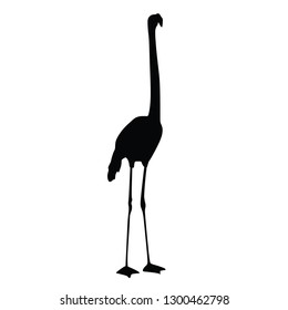 Flamingo bird. Flamingo silhouette, vector