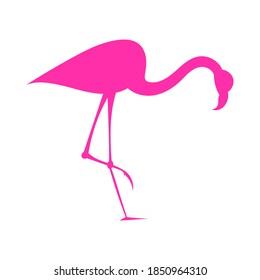 flamingo bird silhouette, vector illustration