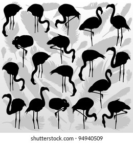 Flamingo bird silhouettes and feathers illustration collection background vector