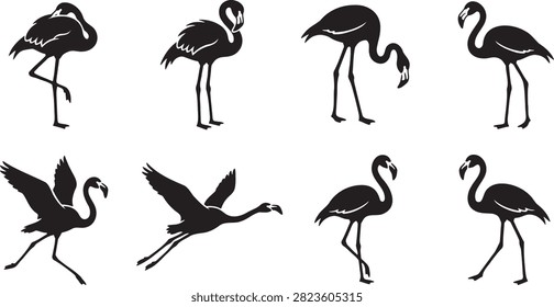 Flamingo bird silhouettes in standing preening and flying positions