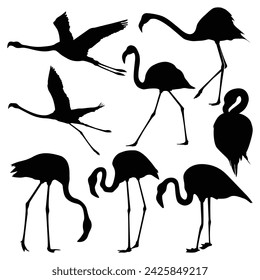 Flamingo Bird Silhouettes vector art