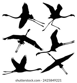Flamingo Bird Silhouettes vector art