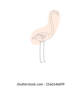 flamingo bird sketch vector illustration 