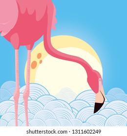 flamingo bird in the sky sun