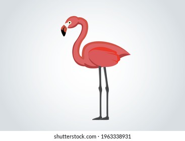Pájaro flamenco parado en un fondo aislado, pájaro vagabundo en la familia Phoenicopteridae. bueno para anuncios folleto libro de educación para niños. Buen diseño de libros de concepto, diseño de portada