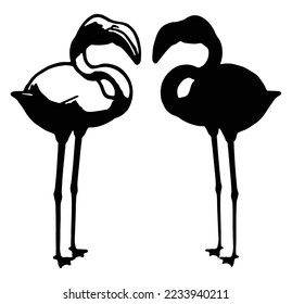 logotipo de pie de pájaro flamingo. contorno vectorial de icono de flamingo e ilustración de silueta