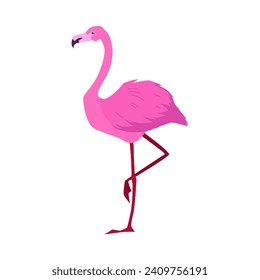 Pájaro flamenco parado en la pierna en perfil, ilustración plana vectorial aislada en fondo blanco. Flamingo rosa para el verano y colección de aves tropicales.