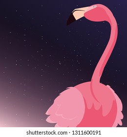 flamingo bird starry night