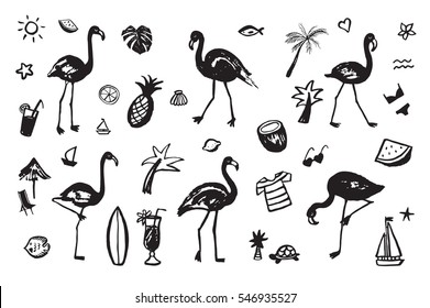 flamingo bird summer vector set