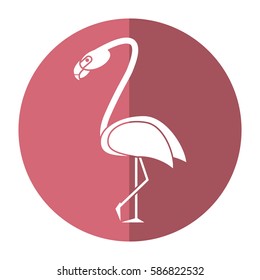 flamingo bird tropical shadow