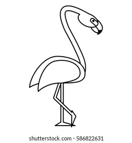 flamingo bird tropical thin line